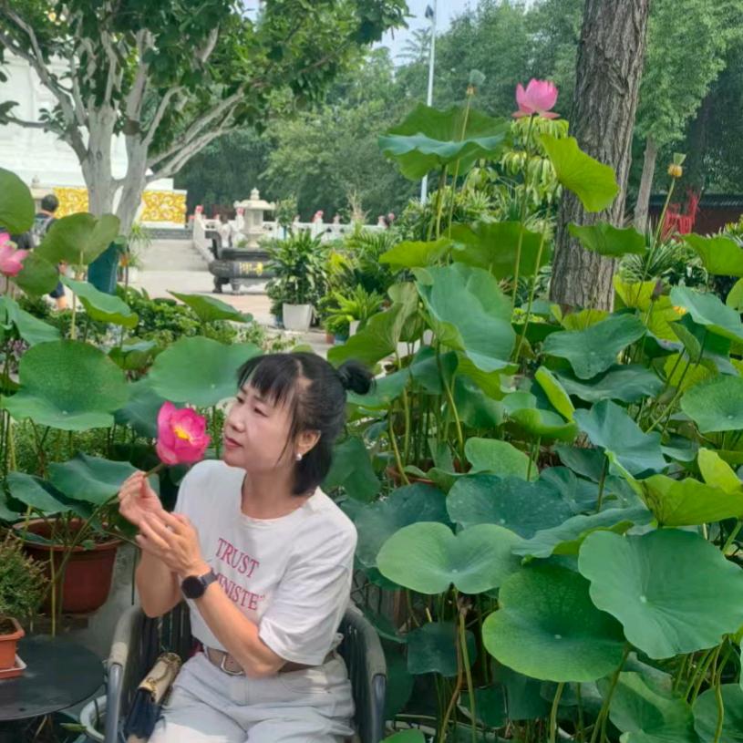 心语清晨