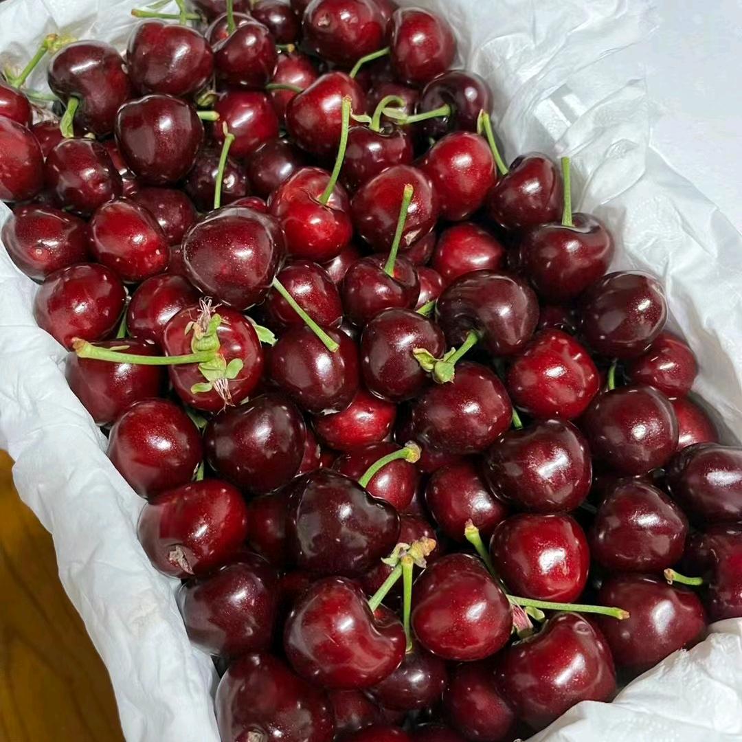 不见面不等于不想念