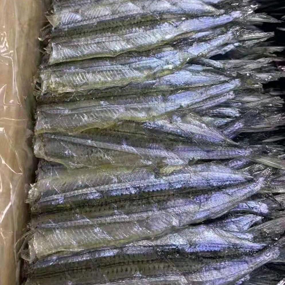 老袁，马步鱼厂家直销