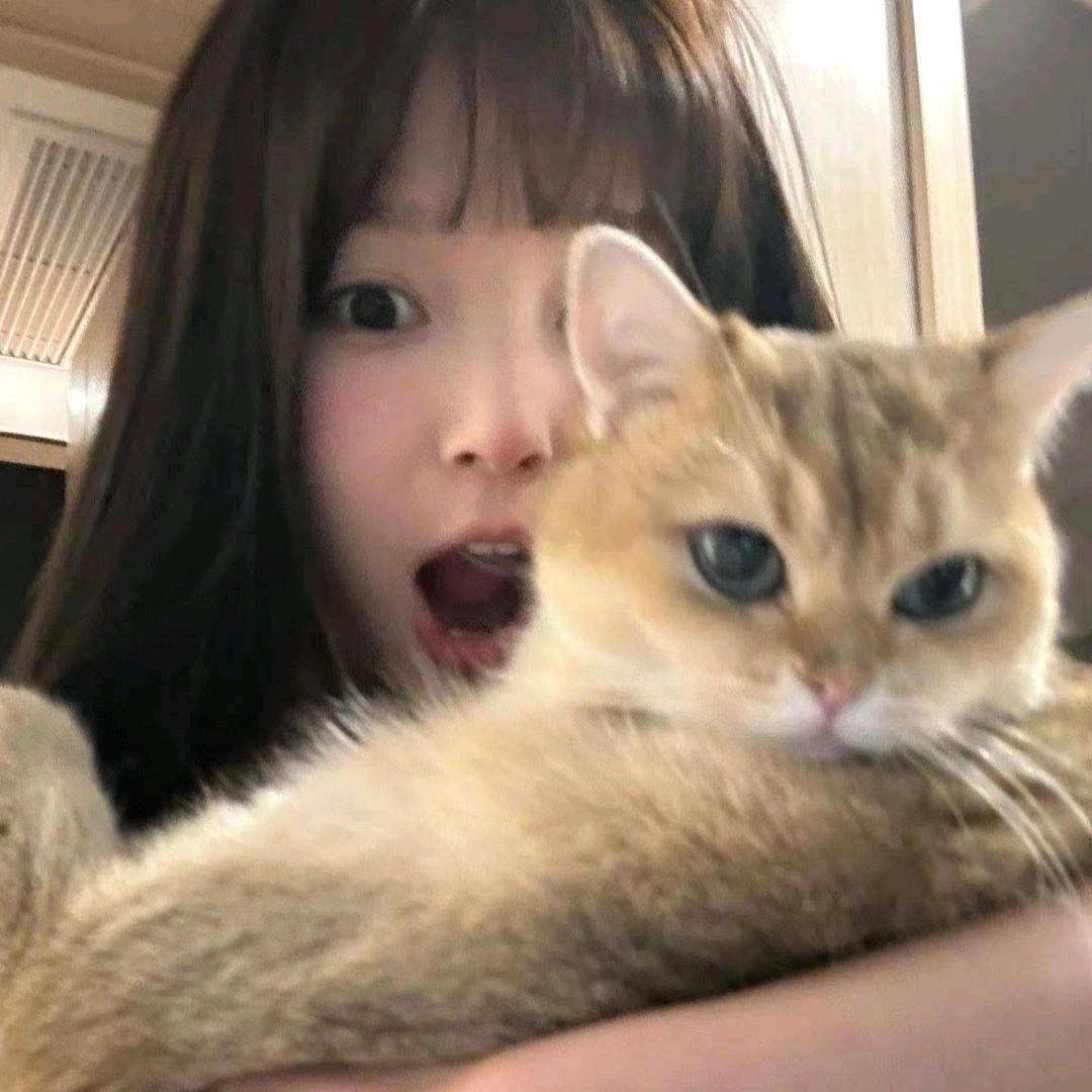 世界第一爱小狗