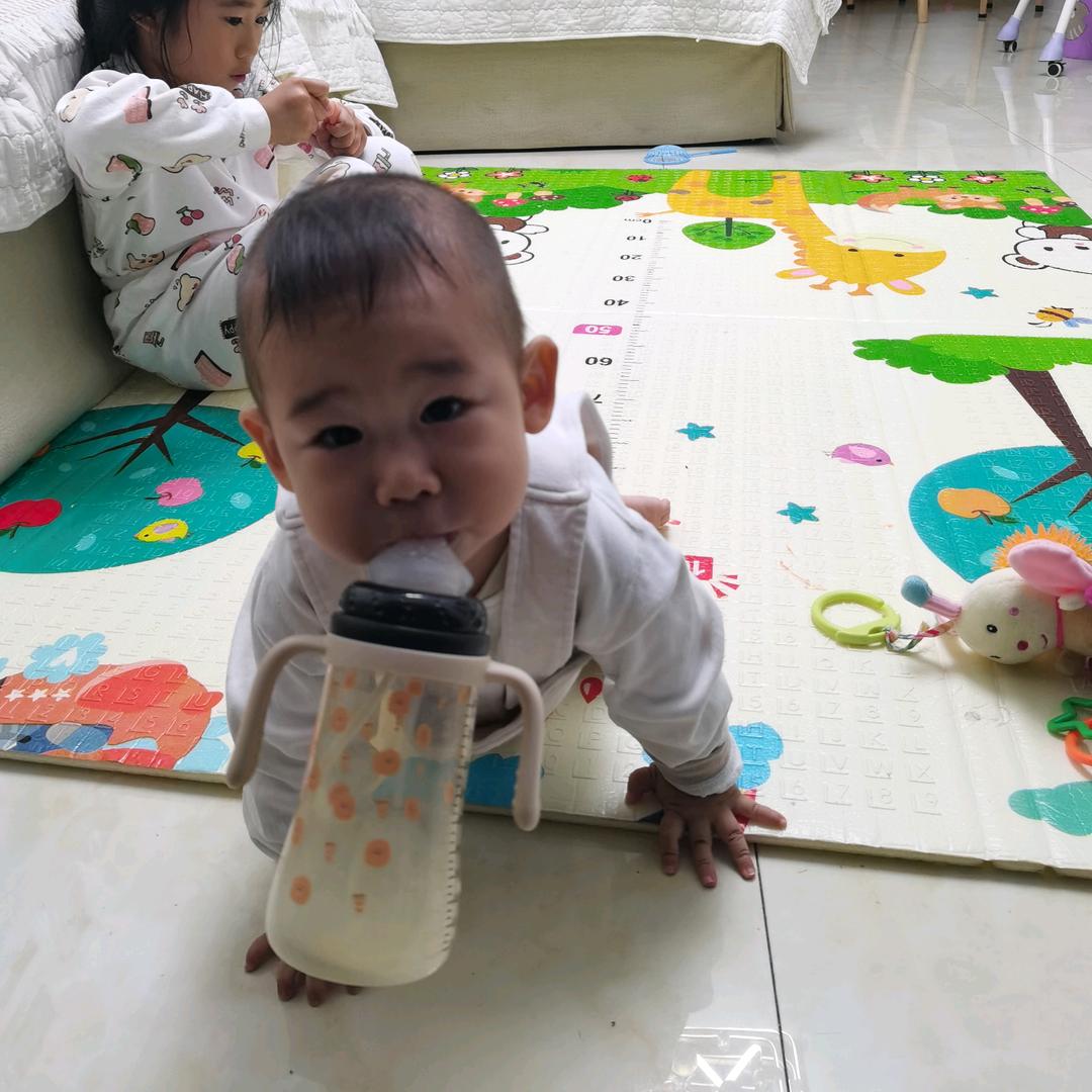 专业安全搭设外架，内架，装潢架
