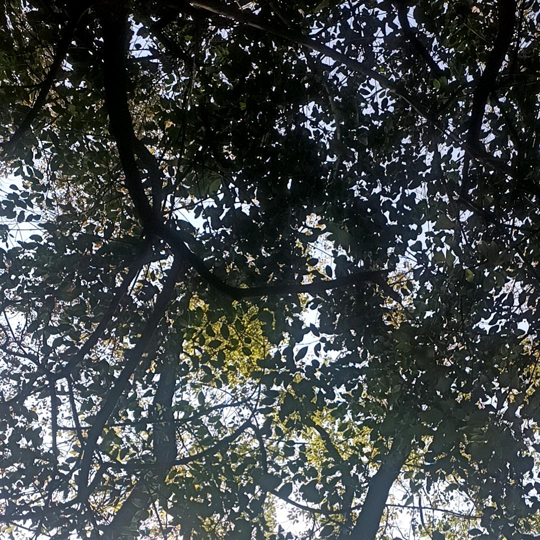 人生如梦，而我却失眠