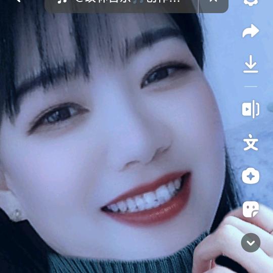 绣出一枝梅