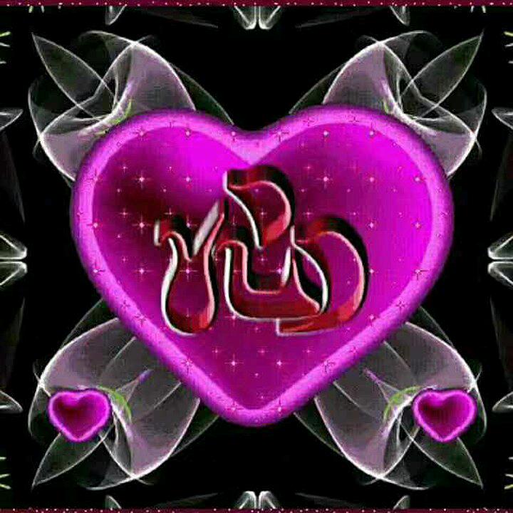 ʕ ᵔᴥᵔ ʔ七月