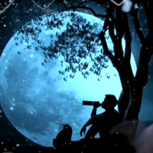 用爱拥抱你（wj）