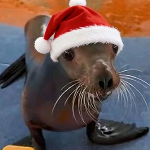 名叫糕手喵喵实际是性感忧郁qq肠