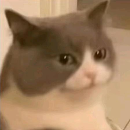 白梳离