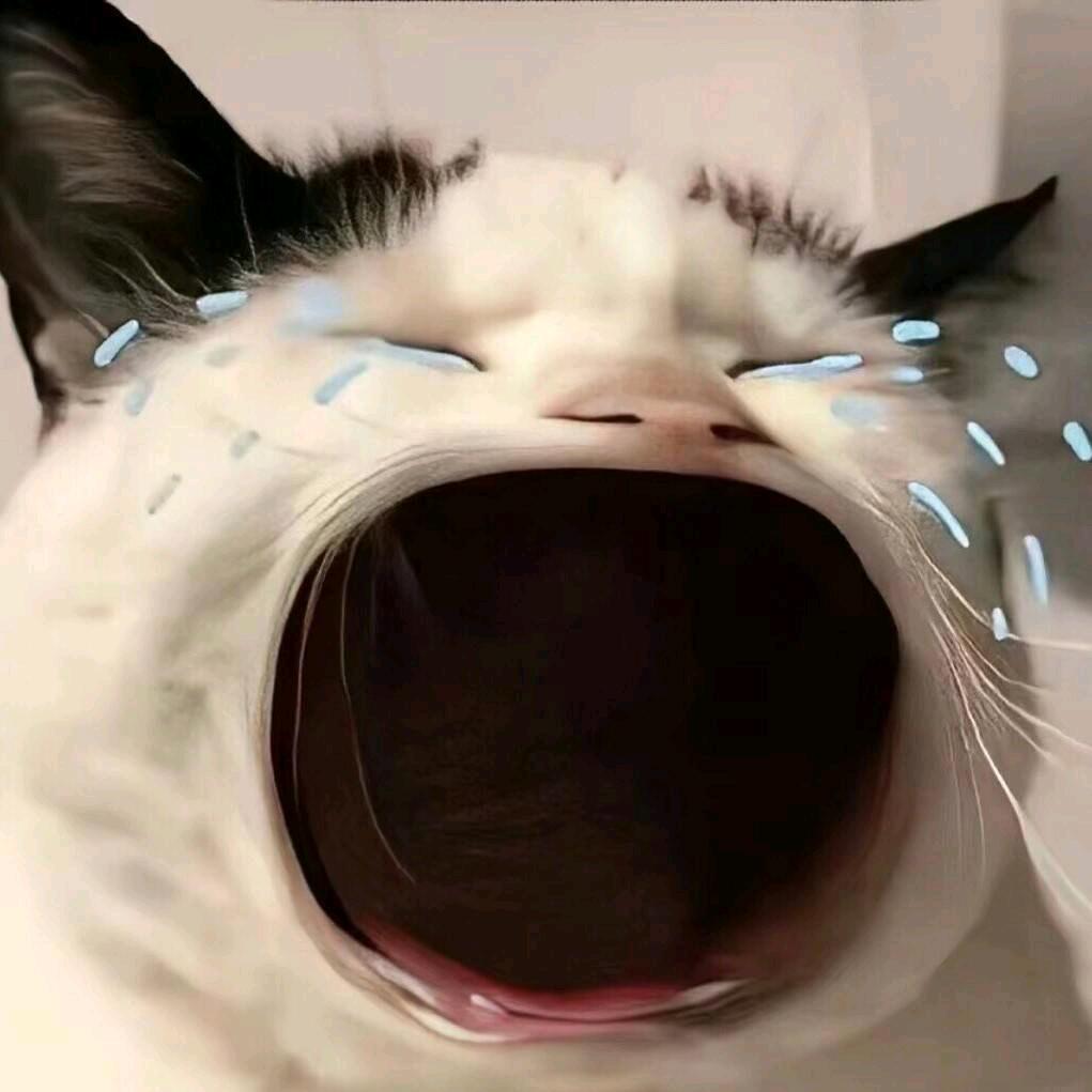 是楚不是丑