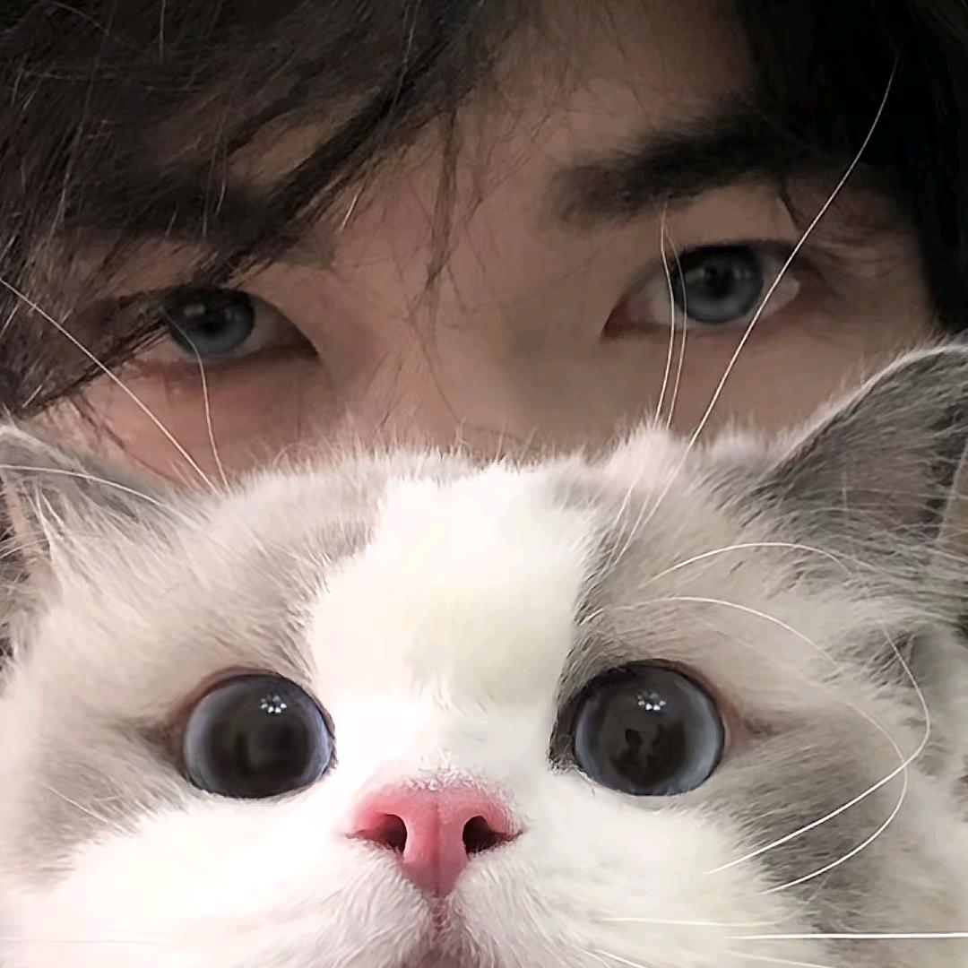 不爱通宵🦂