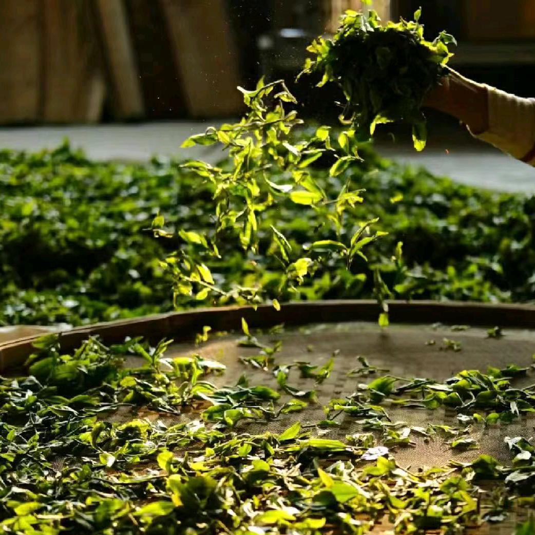 郑师纯手工茶