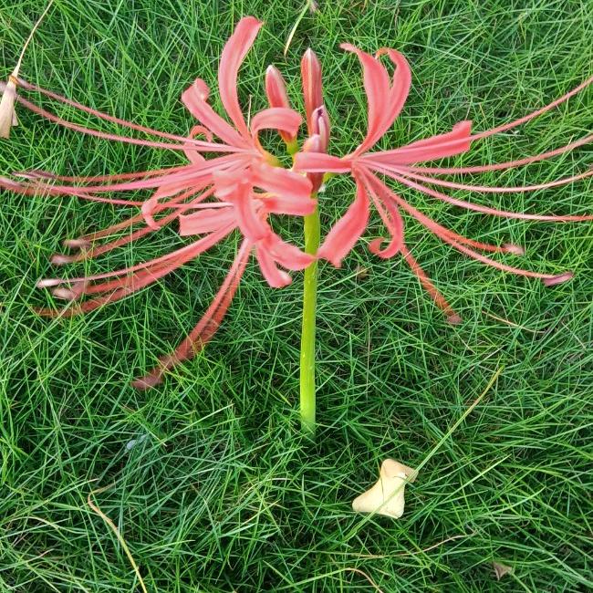 @你的通讯录好友