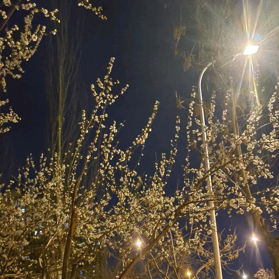 👆🏻👆🏻👆🏻