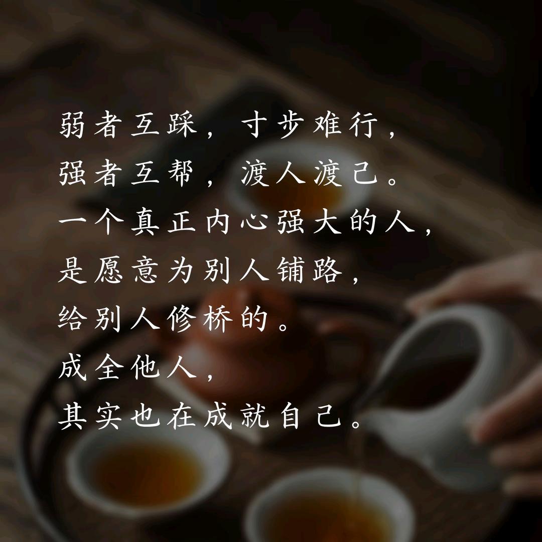 防沙治沙➕农活 日常记录