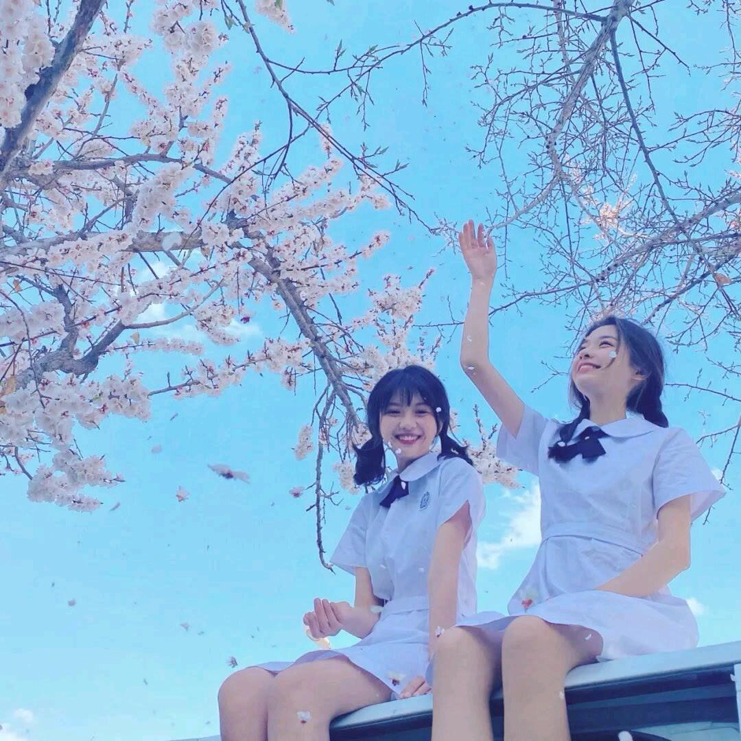 快看，我在发芽🌱