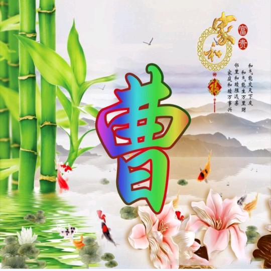 🌹好运常伴🌹