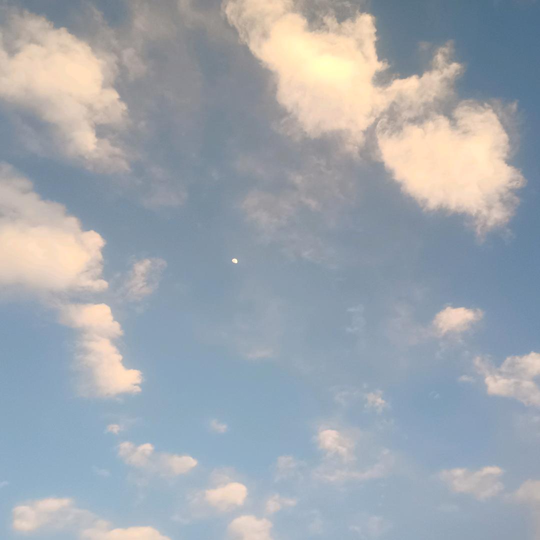 (づ ●─● )づ她