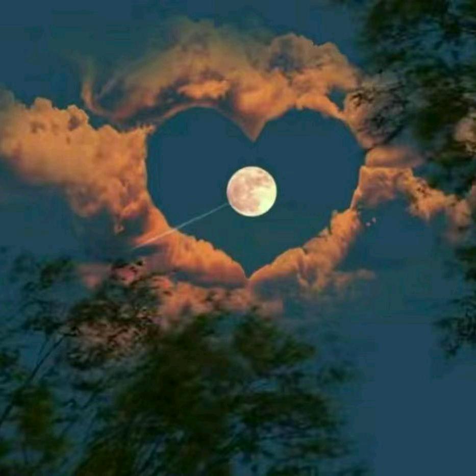 写给柴先生的信（小号）