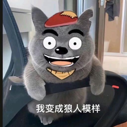 洗个西瓜冰姜