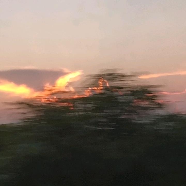ln
