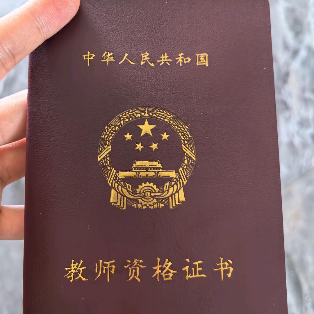 教资🏅洋洋老师
