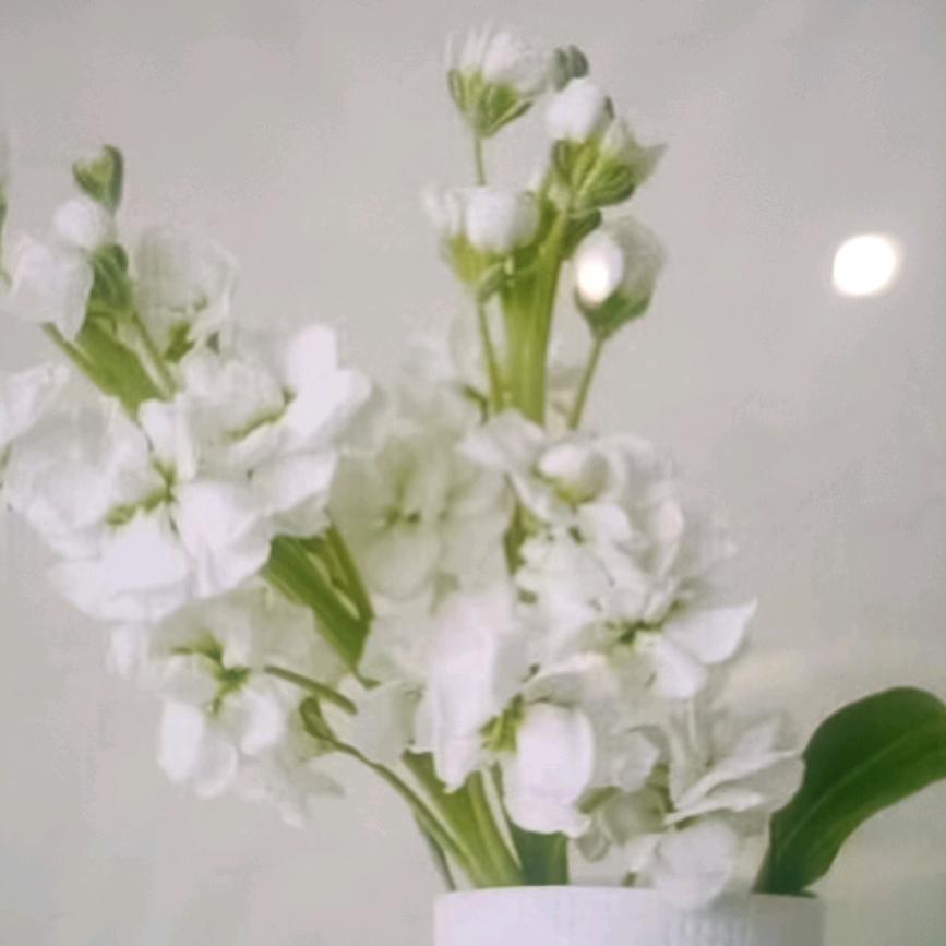 3小凤优选百货爆爆