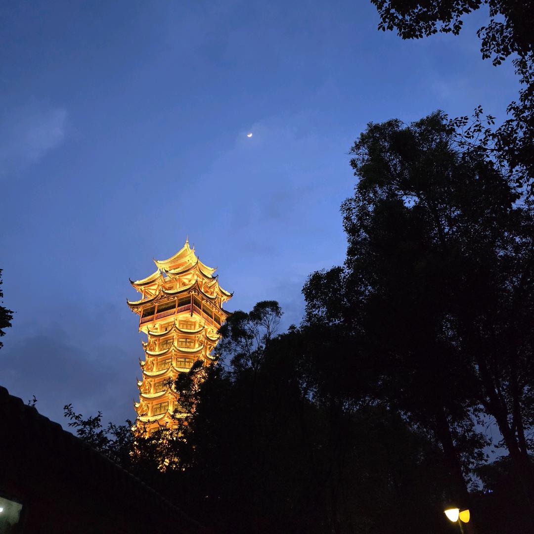 青蛙皮皮
