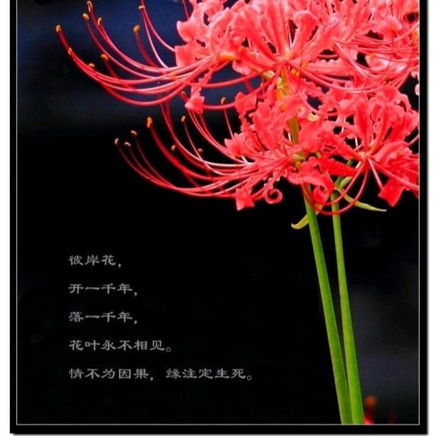 方兴未已