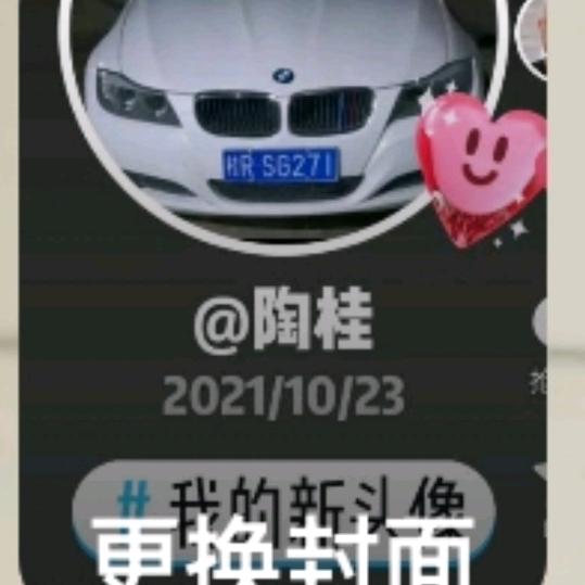 陶哥