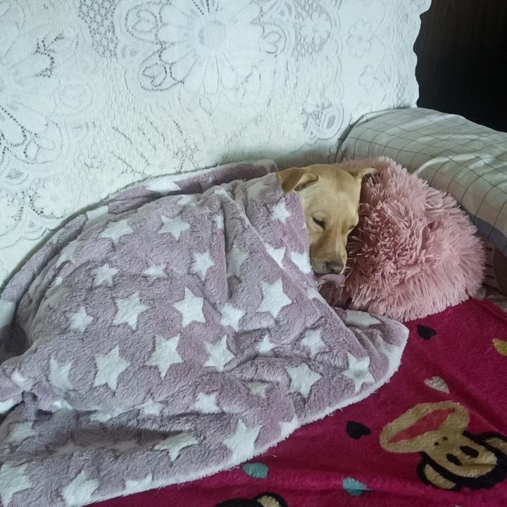 露露家老爹情感电台专栏