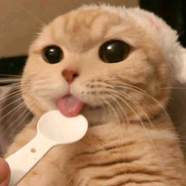 好牛逼