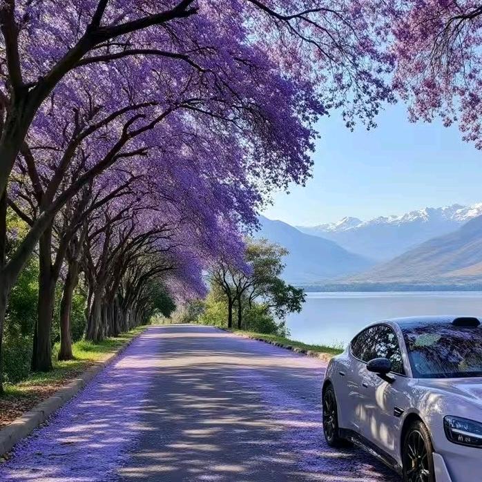 清晨🌸🍬（拒私聊）