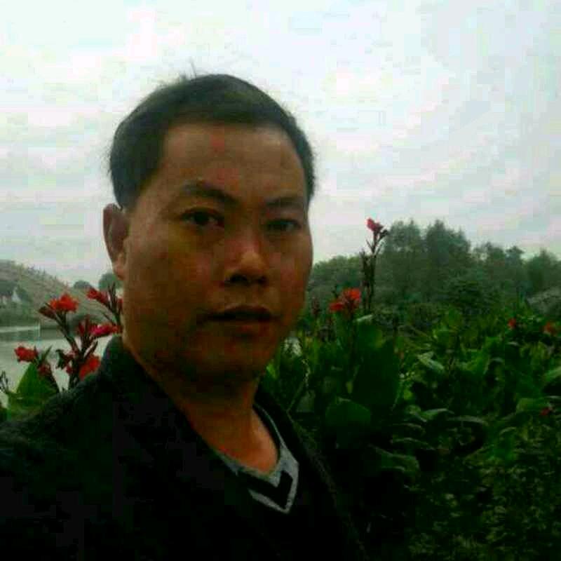 假装去旅行