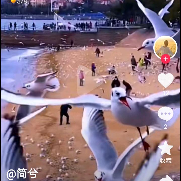 平安快乐