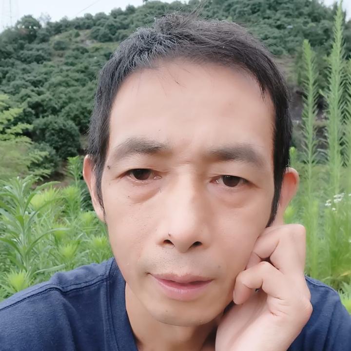 满哥你在哪