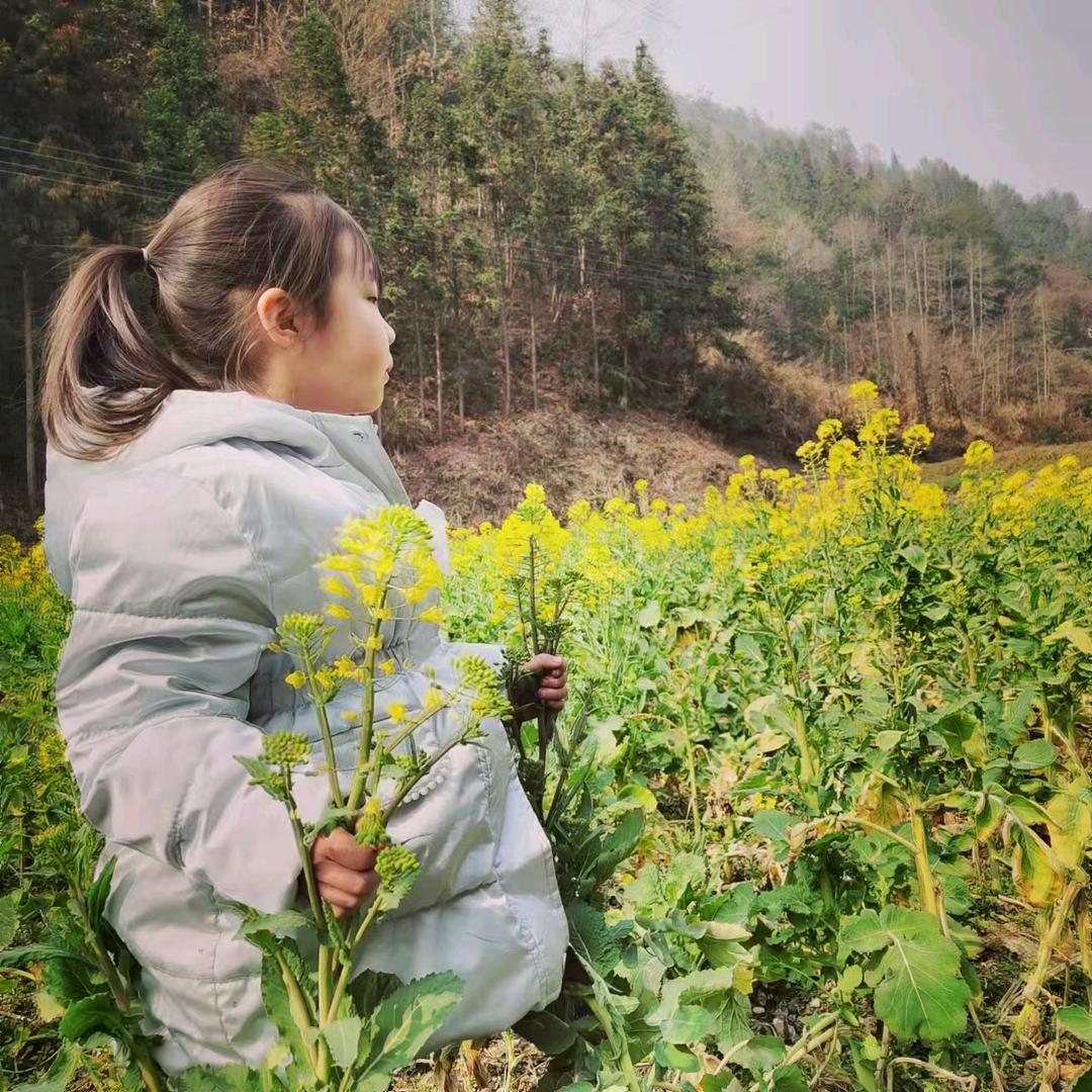七月苶花
