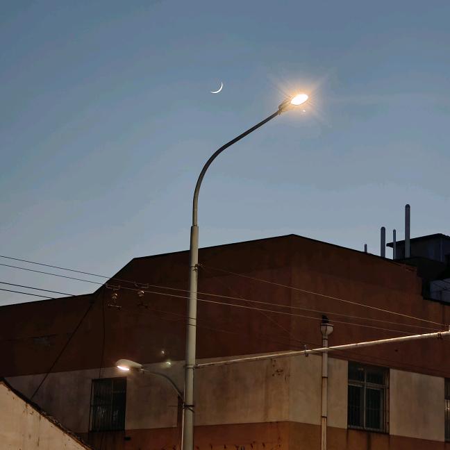 张张有一只昂科威