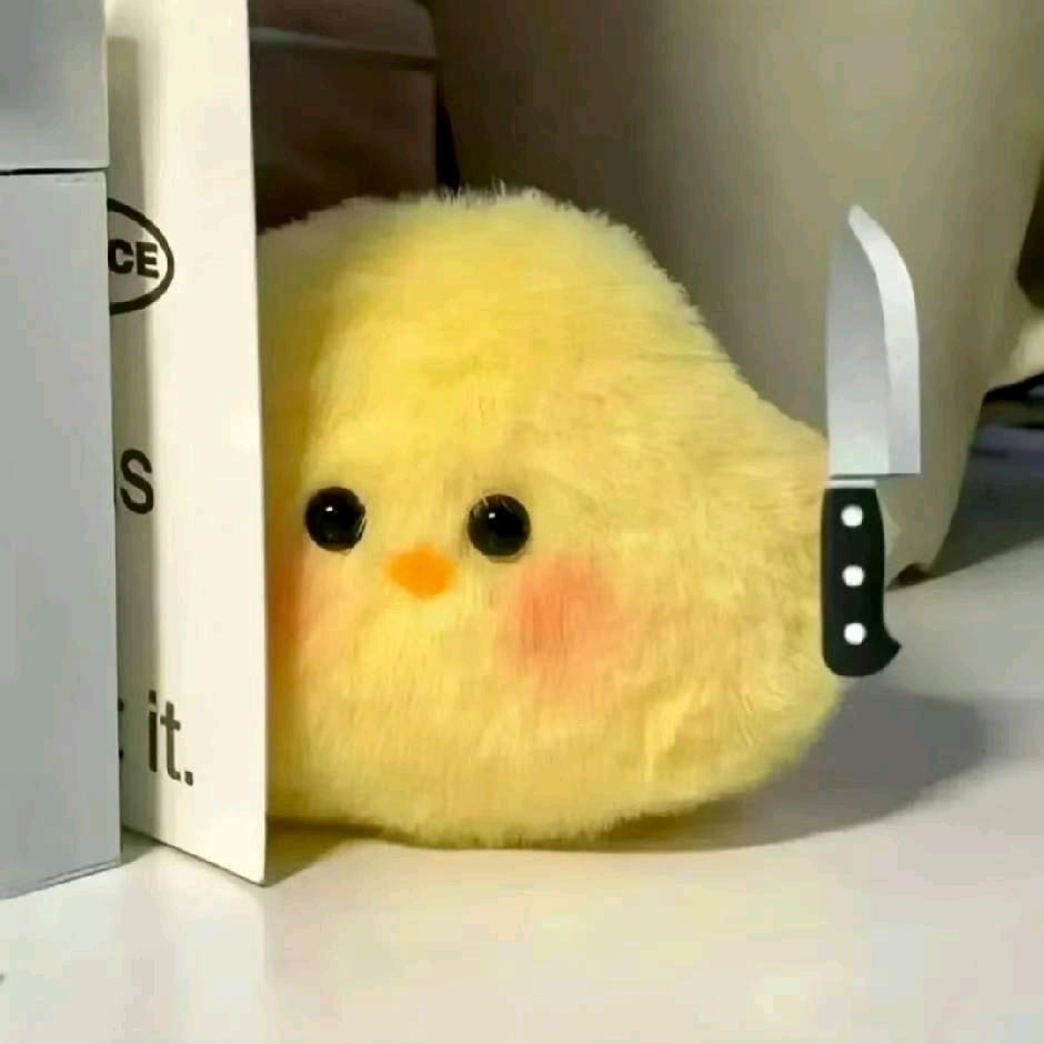 失眠吐司
