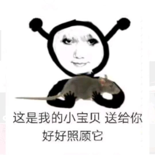 就眯一会～