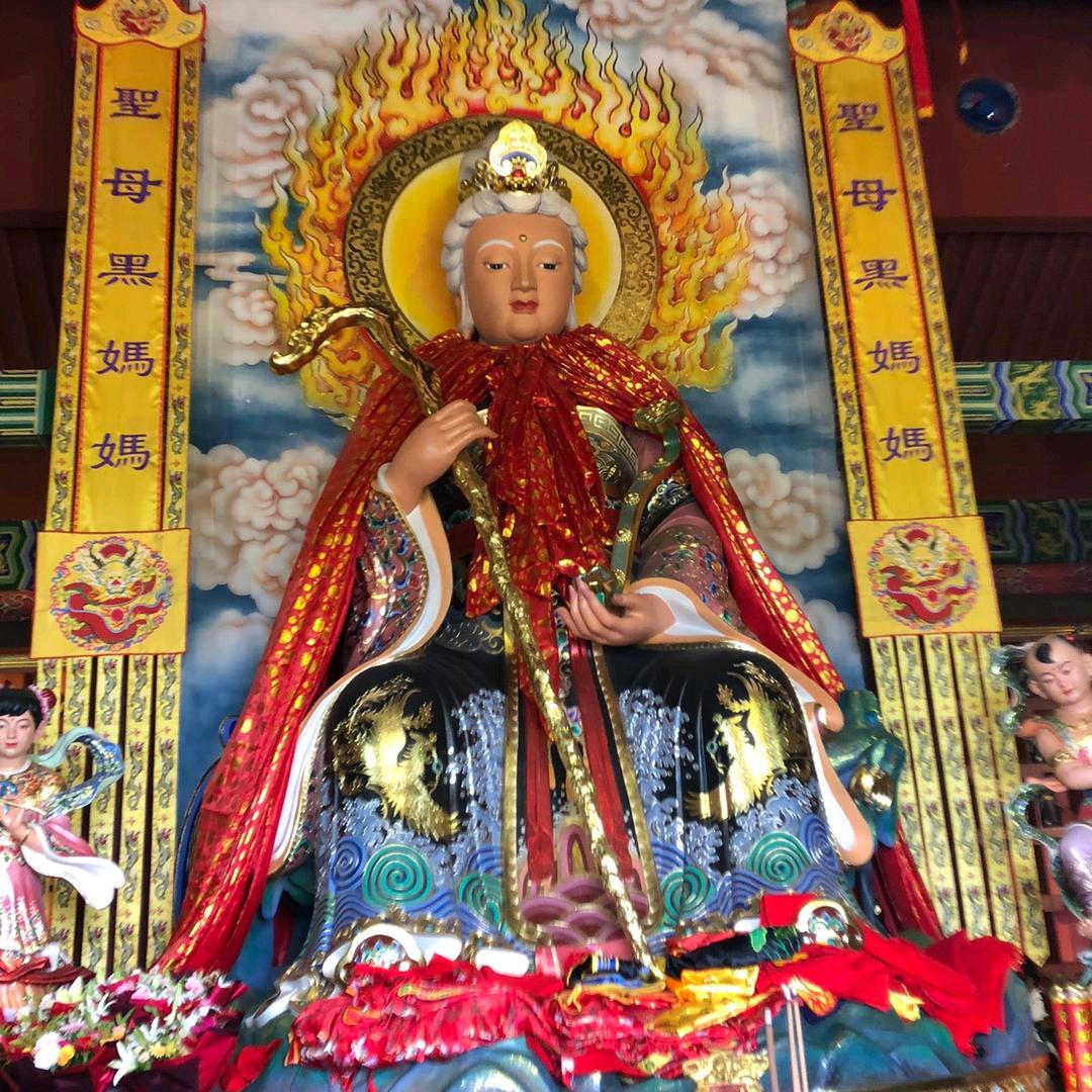 7号为人民服务🚩