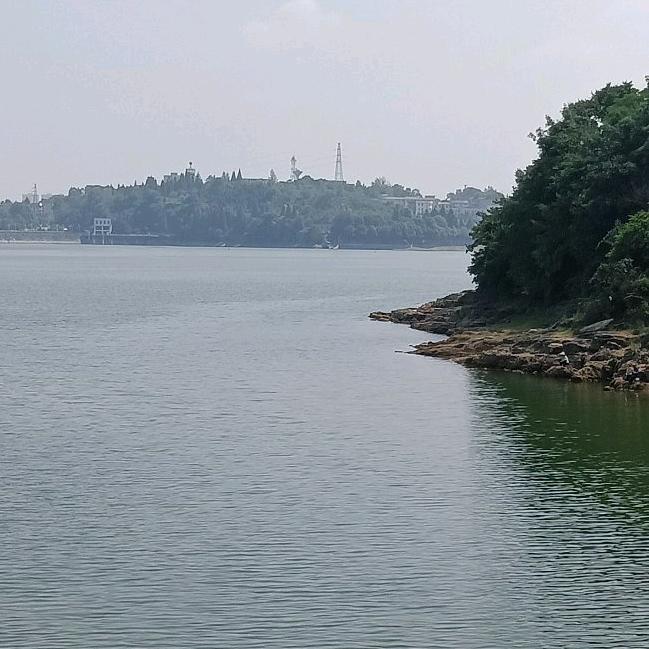 最熟悉的陌生人