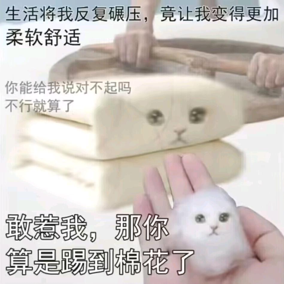 这是小号