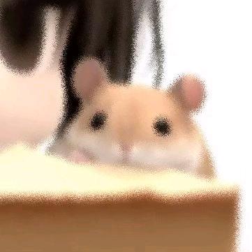 大拿