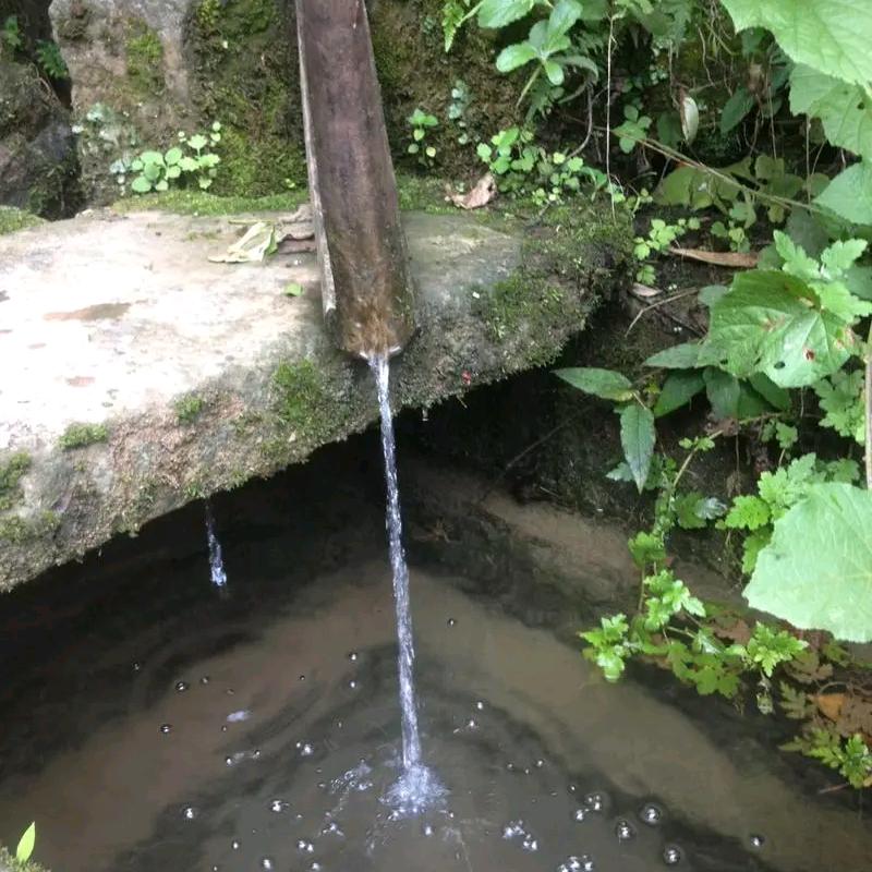 流水人家