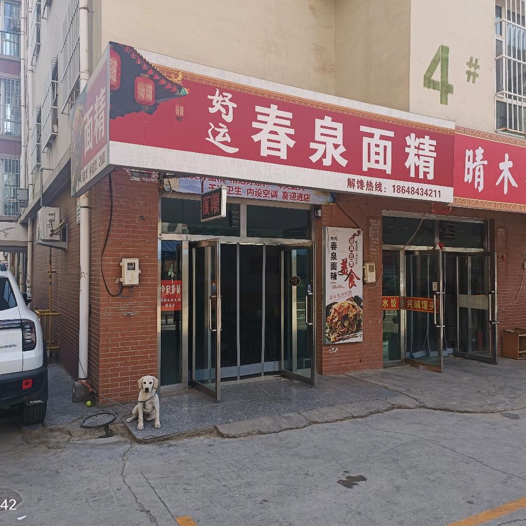 花城春泉面精