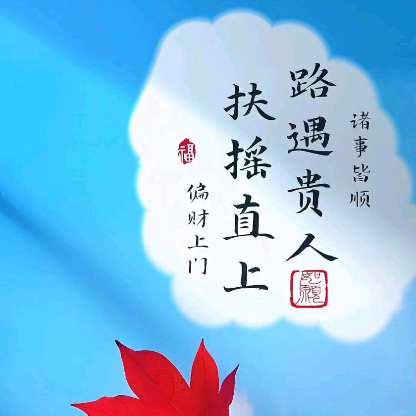 橙子💫头像
