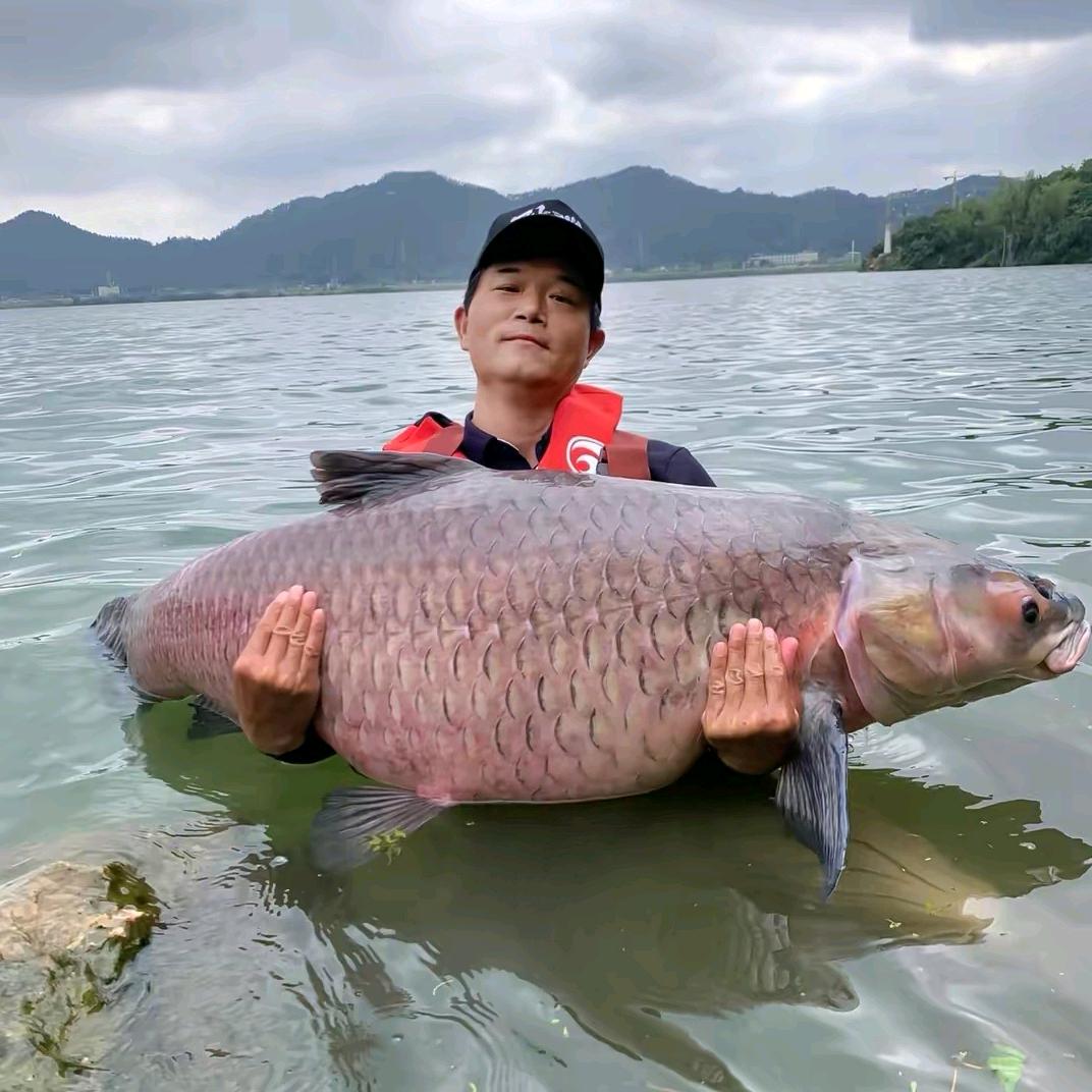 齐超