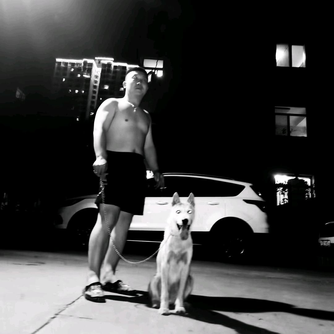 狗痴