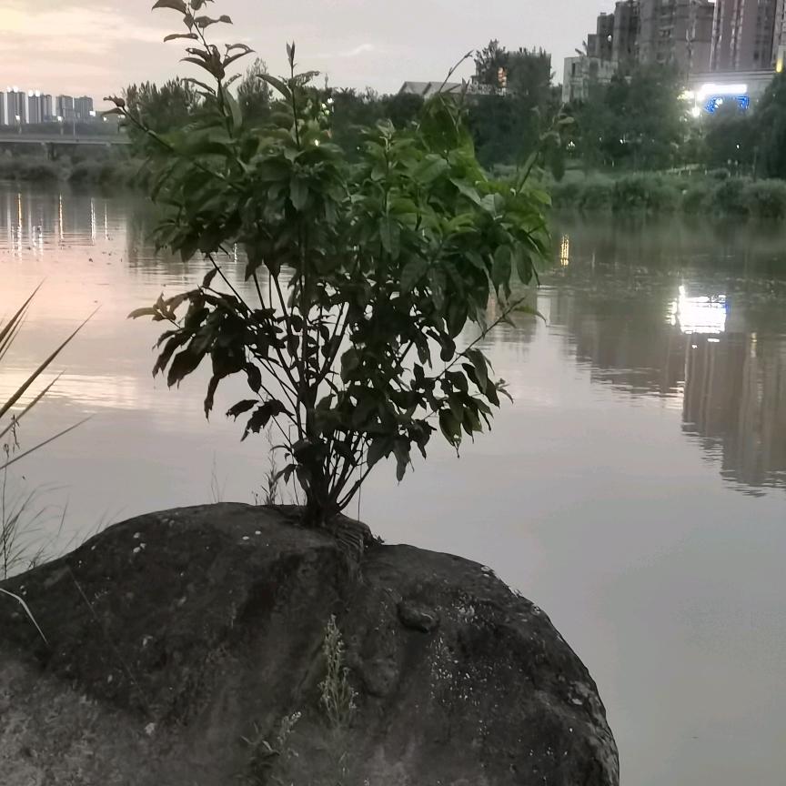 浮生若梦~⁰²⁰⁷