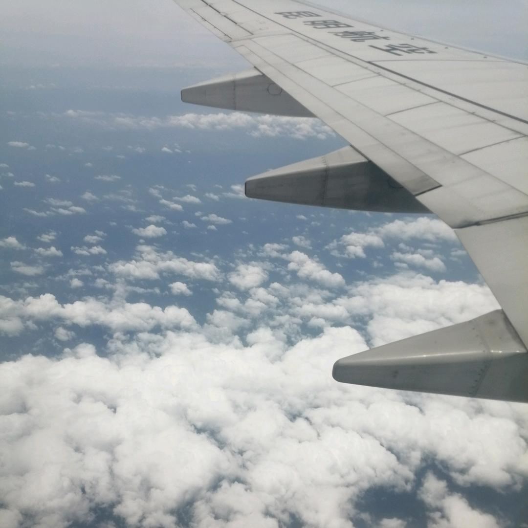 ✌︎余生安好✌︎