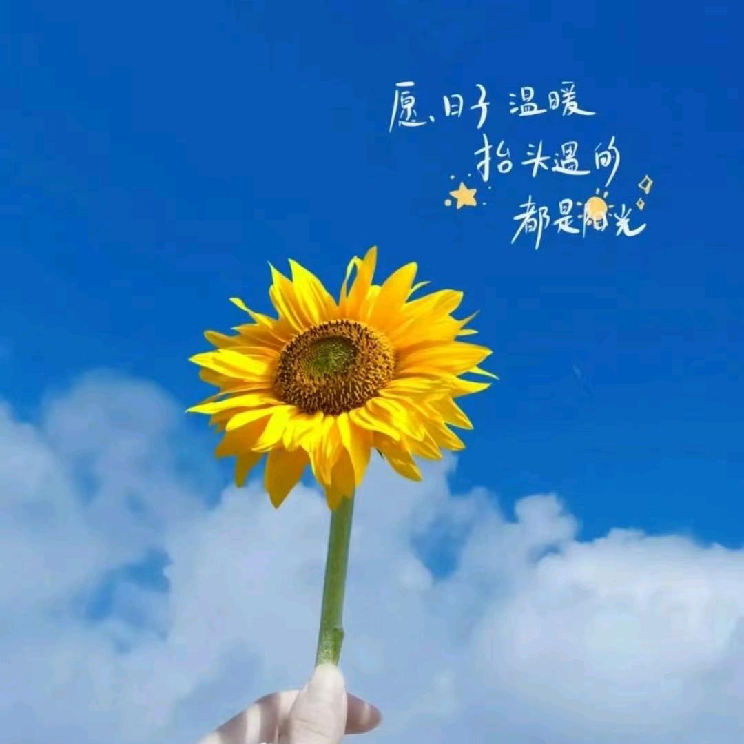 倚楼听风雨